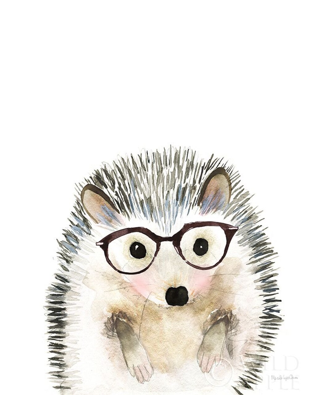 Hedgehog in Glasses Poster Print by Mercedes Lopez Charro # 64166